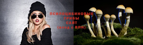 метамфетамин Приозерск