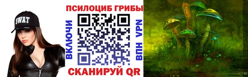 мега ССЫЛКА  купить наркотик  Михайлов  Псилоцибиновые грибы Psilocybine cubensis 